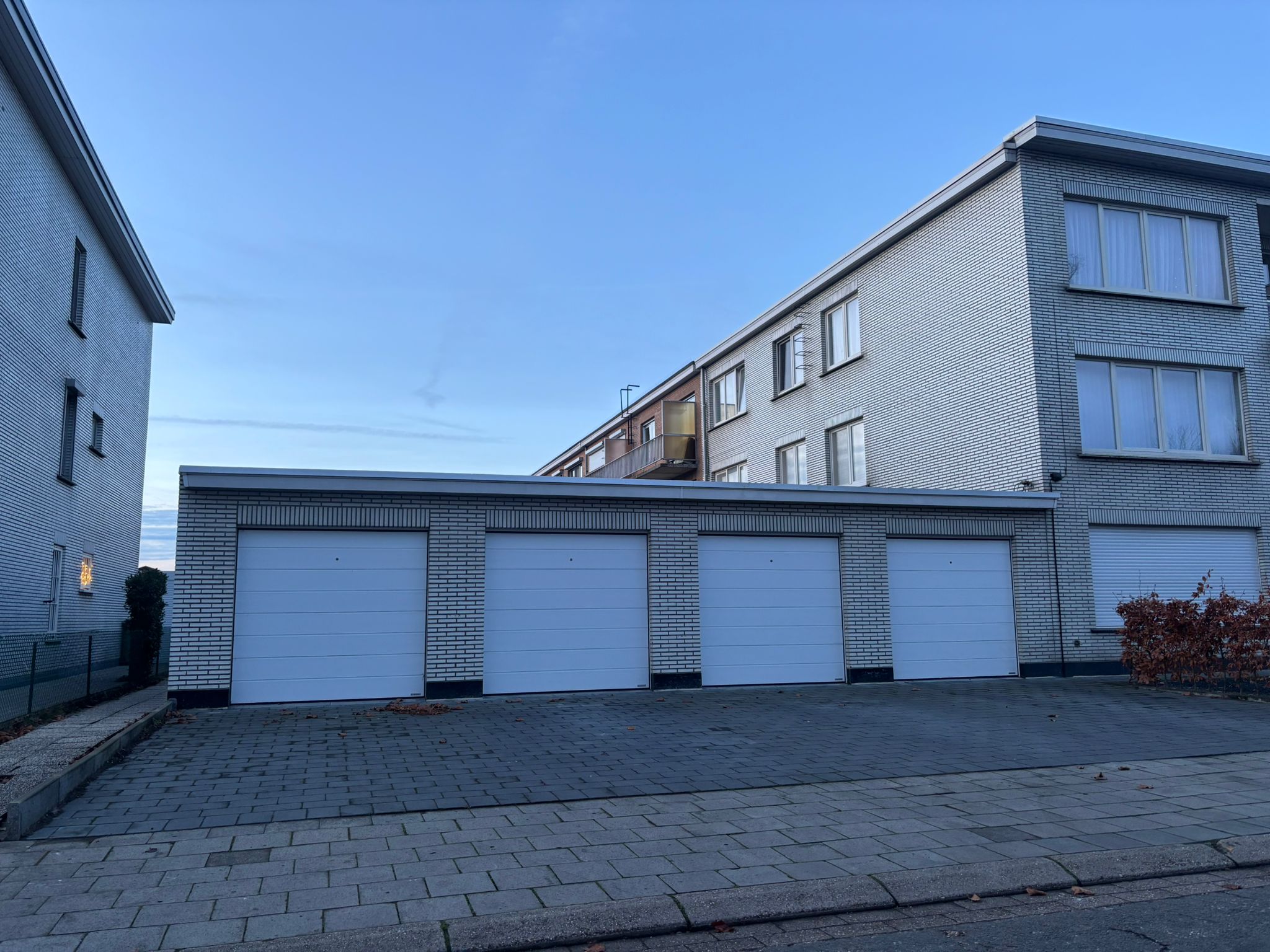 WhatsApp Image 2026 02 16 at 13.15.15 1